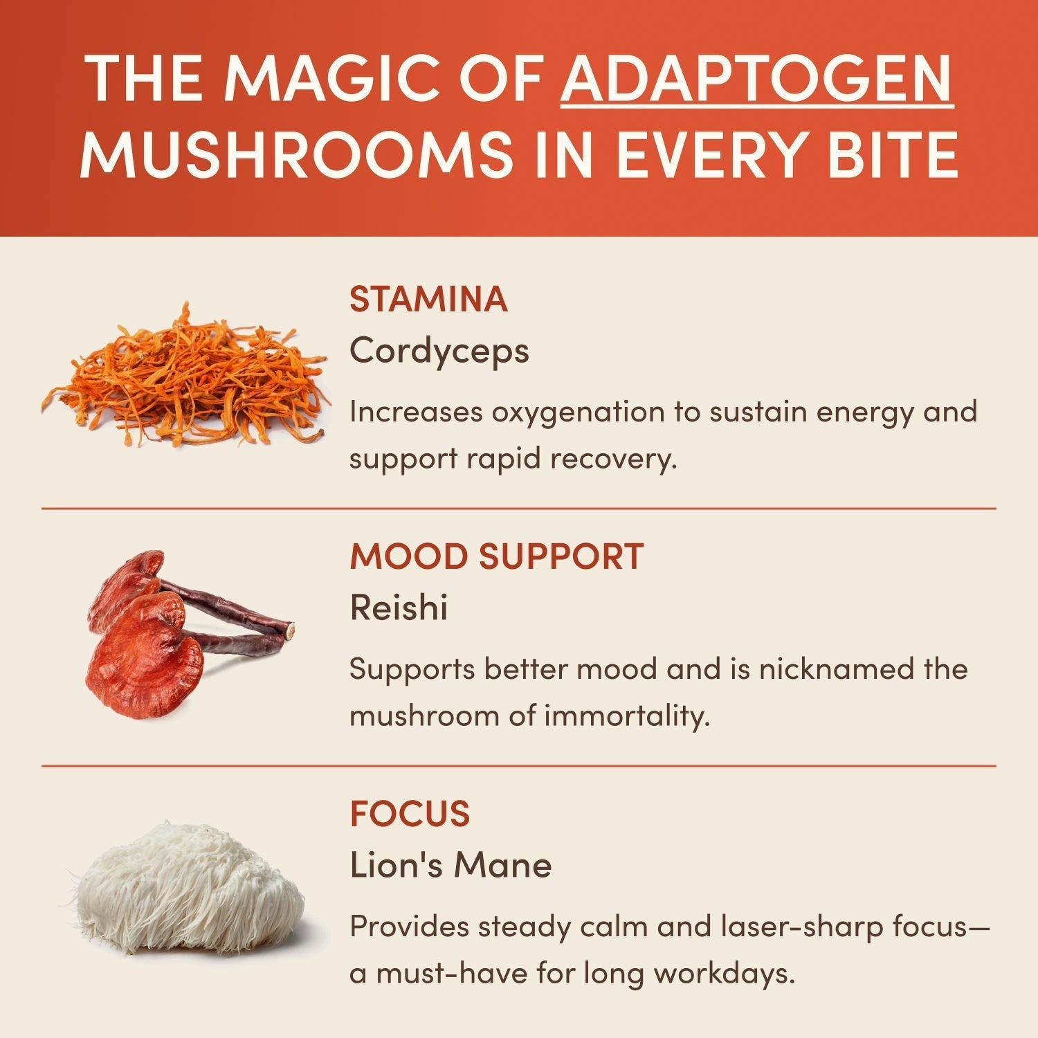 Revitalized Energy Bundle (Coffee + Chocolates) L4 bX
