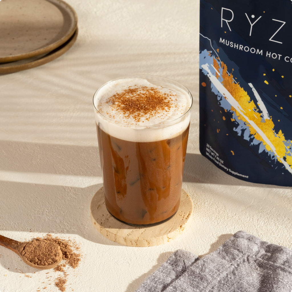 Nighttime Mushroom Cocoa Starter Bag R8 Tl