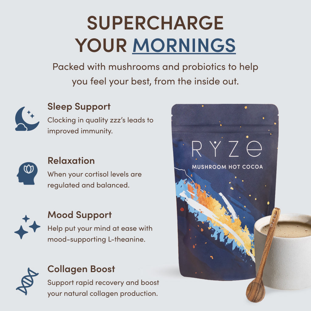 Nighttime Mushroom Cocoa Starter Bag R8 Tl