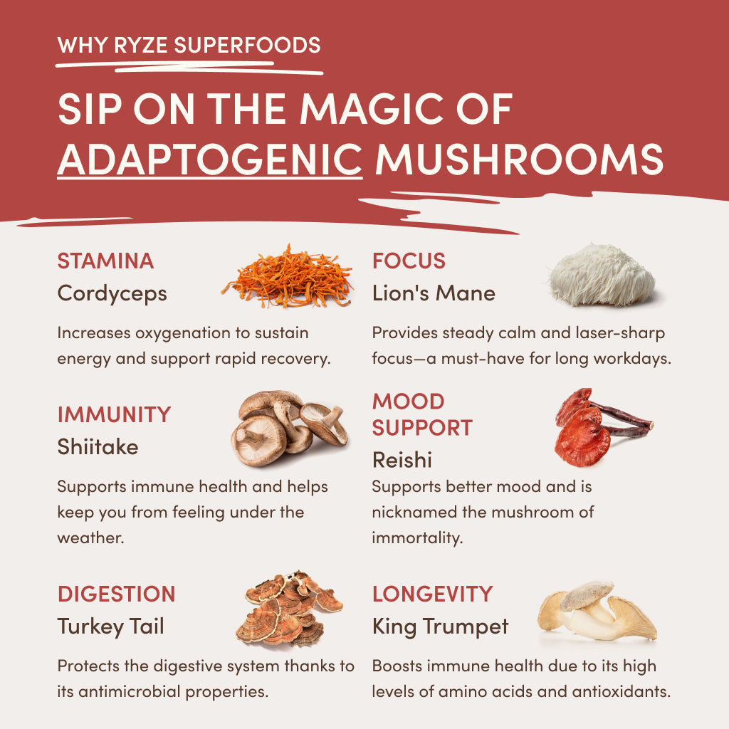 Mushroom Chai Starter Bag K6 eT