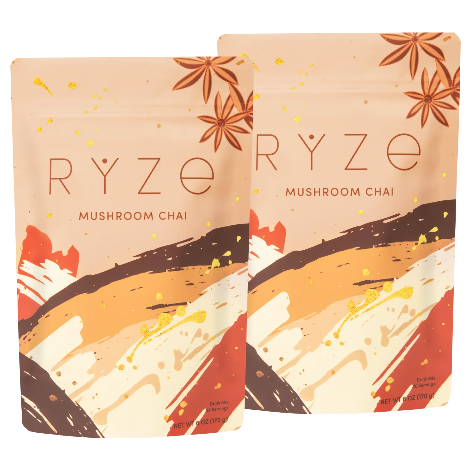 Mushroom Chai Starter Kit: 40 Servings H0 1S