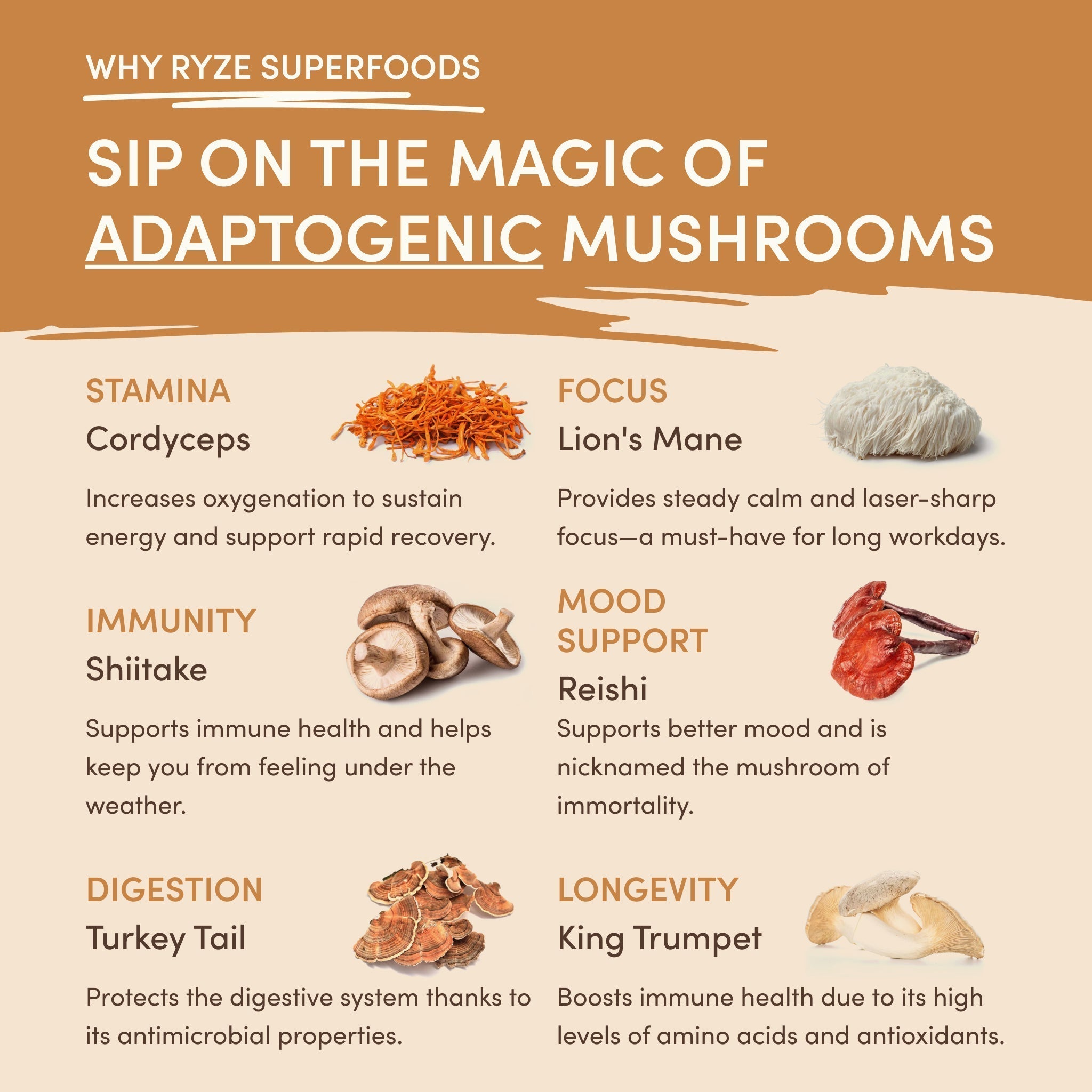 Mushroom Overnight Oats (14 Servings) N8 DF