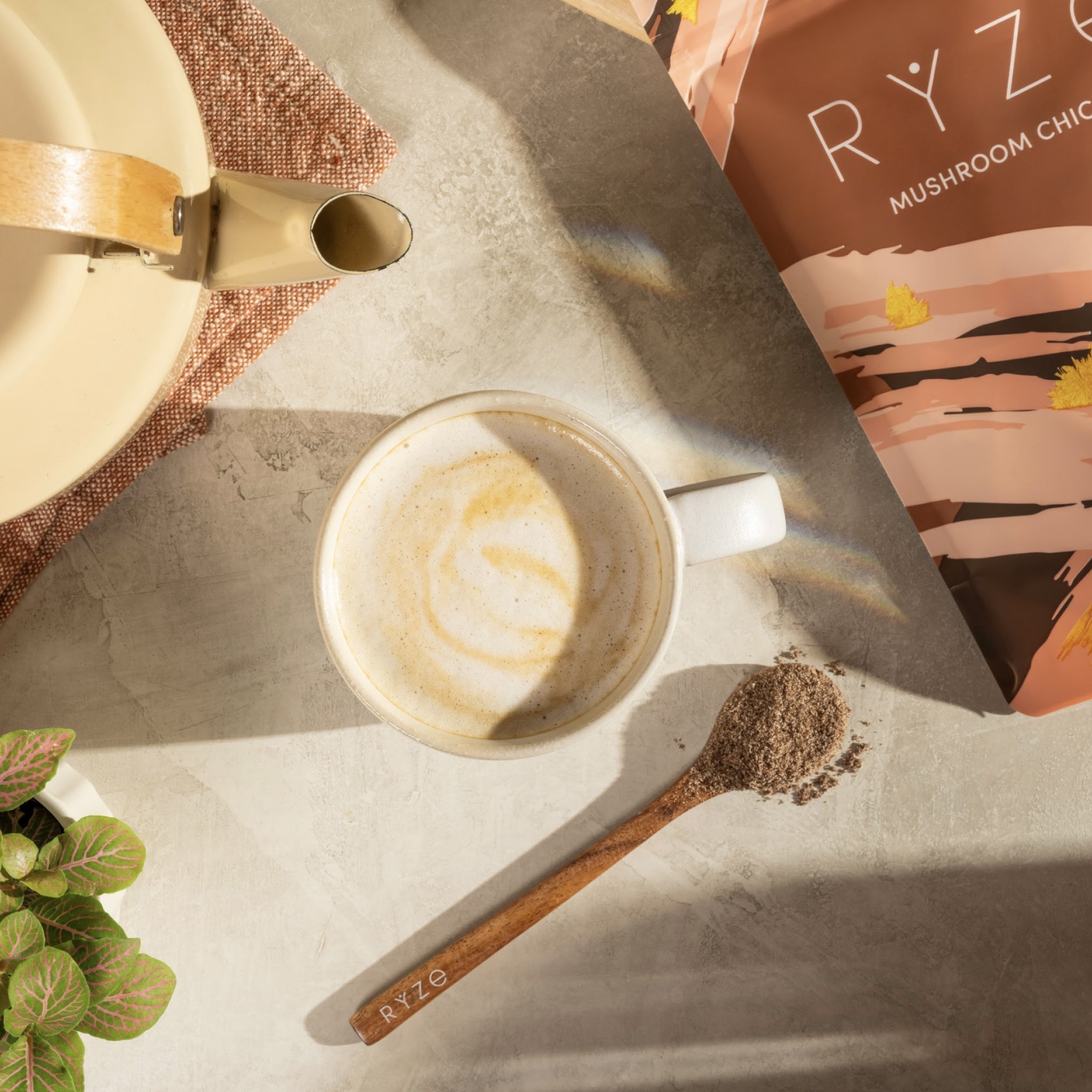 Mushroom Chicory (30 Servings) Z6 4g