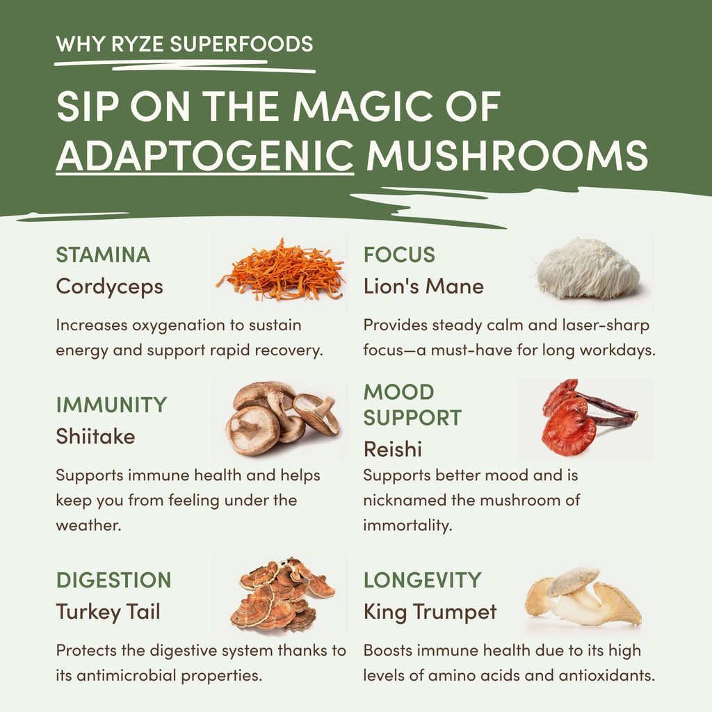Mushroom Matcha — Organic Instant Matcha Latte with Lion's Mane & King Trumpet, 30 Servings B7 RI