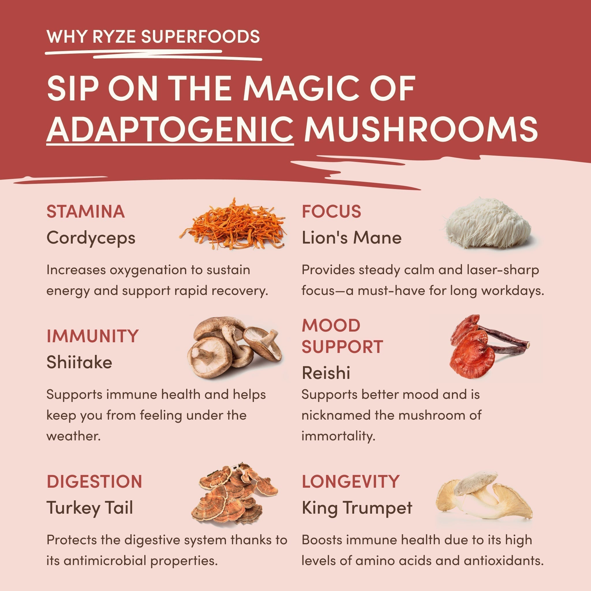 Mushroom Chai — Organic Instant Chai with Reishi & Organic Black Tea, 20 Servings S1 Fm