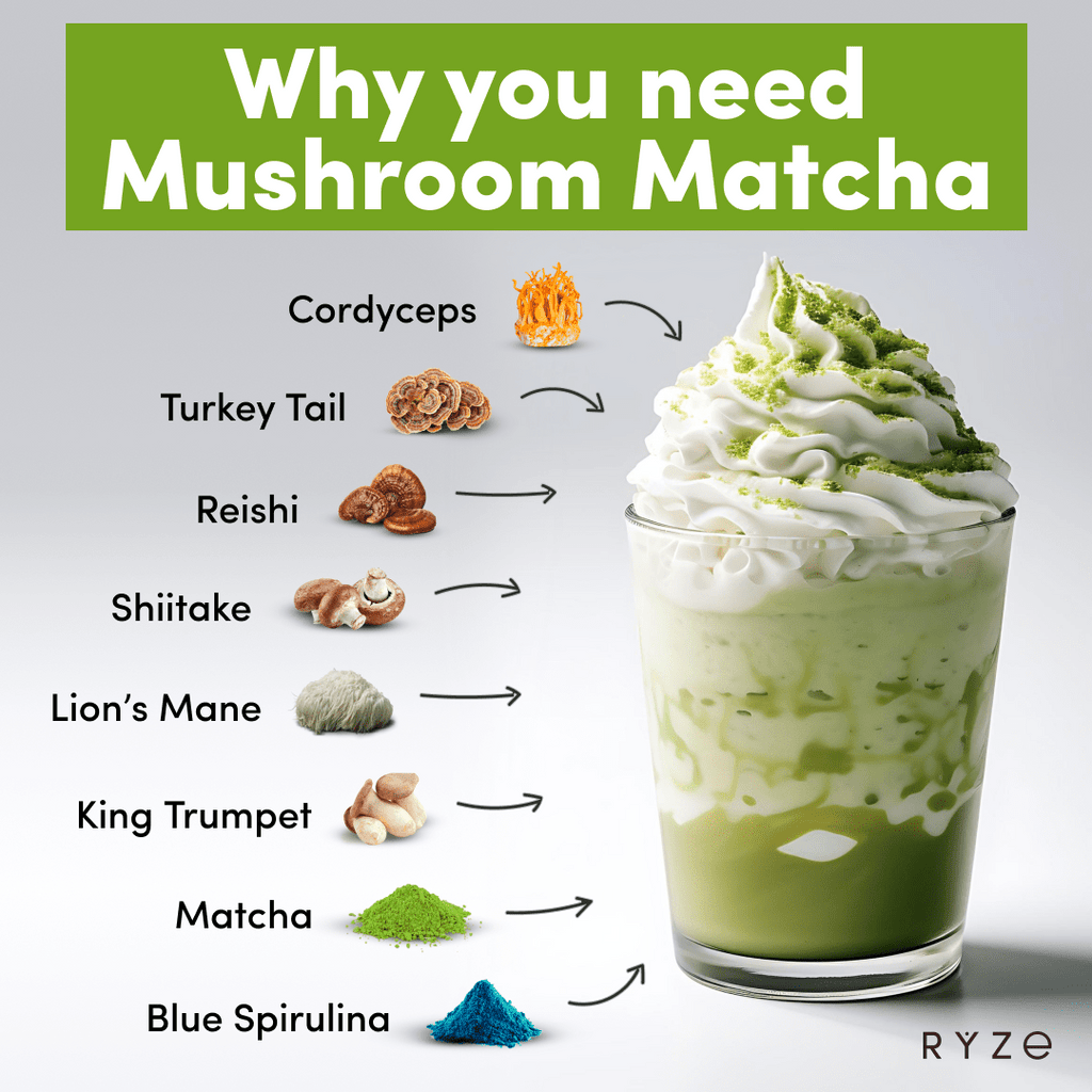 Mushroom Matcha - with 6 Organic Adaptogenic Mushrooms Grown In USA and Ceremonial-Grade Japanese Matcha K1 kT