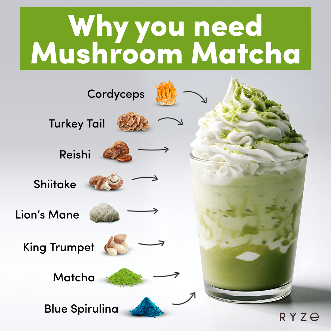 Mushroom Matcha - with 6 Organic Adaptogenic Mushrooms Grown In USA and Ceremonial-Grade Japanese Matcha K1 kT