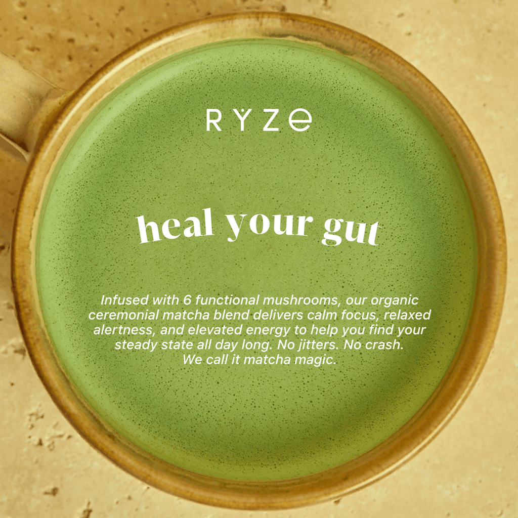 Mushroom Matcha - with 6 Organic Adaptogenic Mushrooms Grown In USA and Ceremonial-Grade Japanese Matcha K1 kT