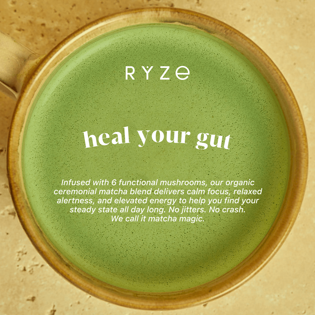 Mushroom Matcha - with 6 Organic Adaptogenic Mushrooms Grown In USA and Ceremonial-Grade Japanese Matcha K1 kT