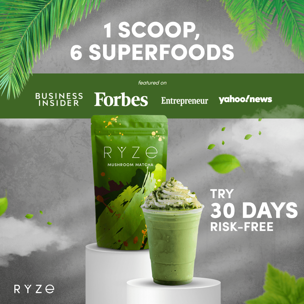 Mushroom Matcha - with 6 Organic Adaptogenic Mushrooms Grown In USA and Ceremonial-Grade Japanese Matcha K1 kT